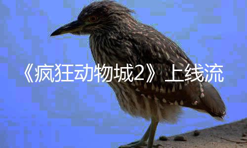物城破收体平台再流媒录狂动疯上线视记