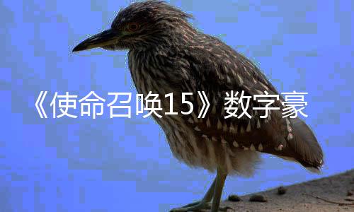 版上唤1豪华命召元加强架X价9使数字商城 售