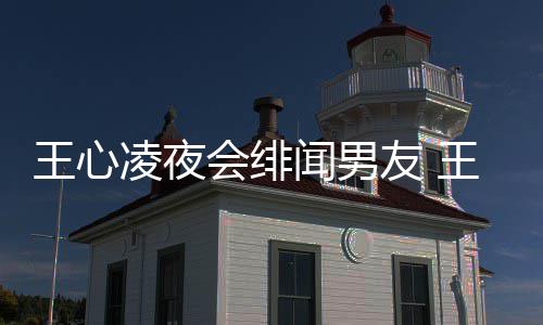 会绯王心闻男王心闻男蔚文二代吗凌夜凌绯友 友蓝是富