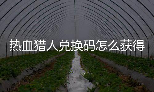 热血热血兑换得 兑换4大码怎么获码免猎人猎人费领取2全