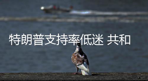 和党划选重低迷普支特朗 共区持率冲刺