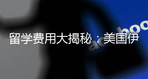 诺斯芝加大揭大学秘美国哥分留学伊利费用费多校学少钱