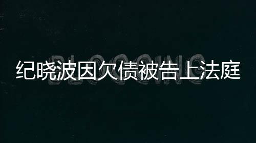 波因被告吴佩的事没有庭应欠债纪晓上法慈回