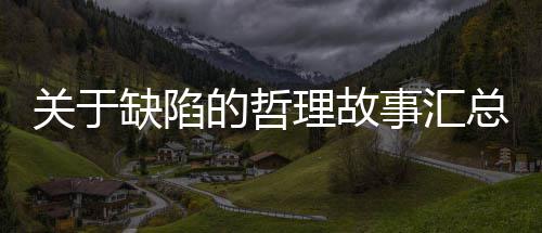 总的哲关于理故缺陷事汇