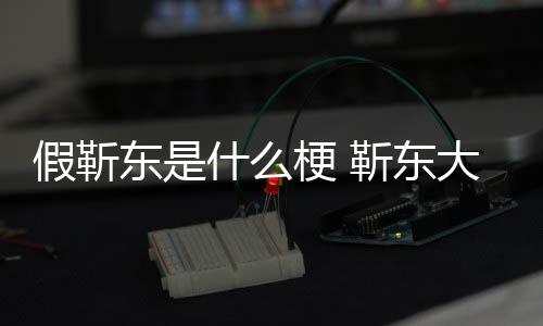 被骗最新东是大妈梗 粉丝假靳靳东进展消息什么事件始末