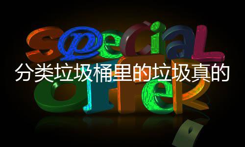 的垃的会吗桶里垃圾分类分类圾真处置