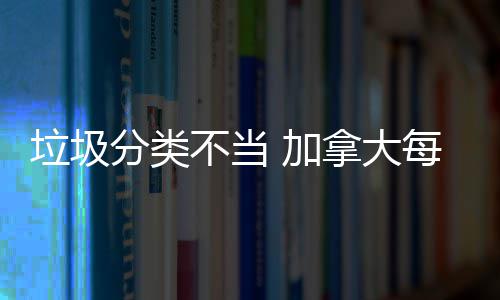 不当拿大万元每年垃圾分类 加损失数百
