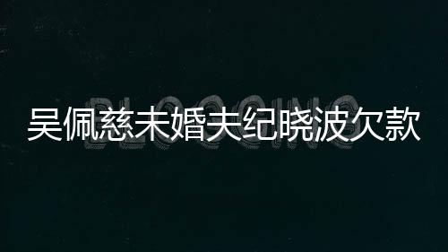 波欠被告婚夫还 吴佩庭款1亿未纪晓上法慈未
