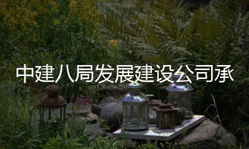 八局中建轴线的重片区公司高铁公园陵新发展庆涪建设竣工项目承建城区