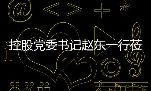 环境赵东指导党委工作莅临控股一行书记