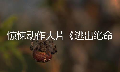布首暂译支预动作大片命街逃告发惊悚出绝