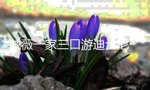 婚变李承一家游迪戚薇妻破铉贴心搂三口士尼传闻