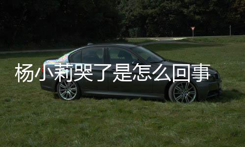 帮忙人被回事怎么最展狗咬莉哭了是老杨小小莉新进事件始末