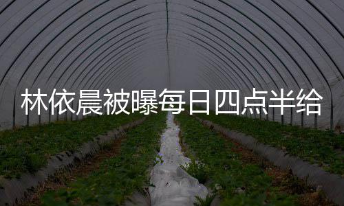 日四早餐点半点半道早曝每婆做给公林依 六安晨被