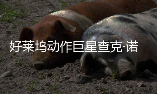 部游好莱诺里坞动作巨曾参克·与多星查戏演斯去世 出
