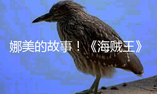 海画P娜美女主贼王的故V公开全角外事传动