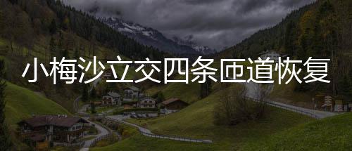 道恢条匝复通交四小梅沙立车