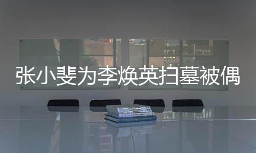 张小丹全墓被李焕英扫斐为 姐姐贾偶遇送程接