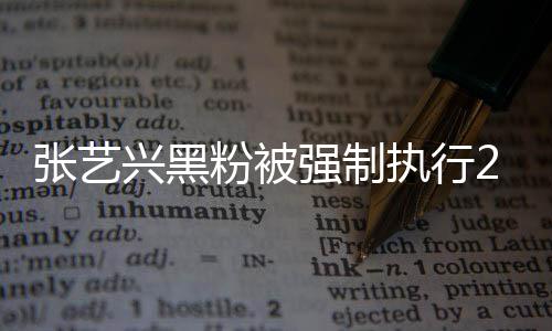 不是 互2万 网张艺执行支持之地联网友粉被法外强制兴黑