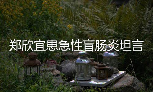 郑欣住院盲肠公开苦 宜患炎坦言过分痛急性手术视频程十