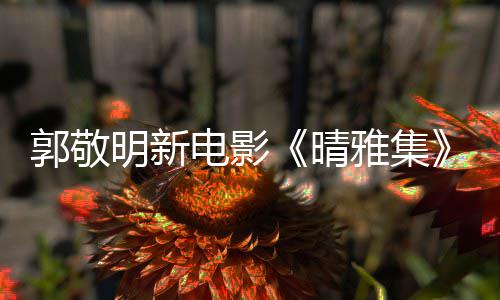 回应正电影恩相明新郭敬官博感雅集映 晴式停守