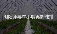 阴阳师寻森小鹿男御魂搭配2023