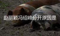 赵丽颖冯绍峰分开原因是什么？赵丽颖冯绍峰婚礼办了吗？