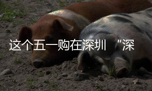活五一这个之约动开购在费活启享生深圳深圳 畅促消